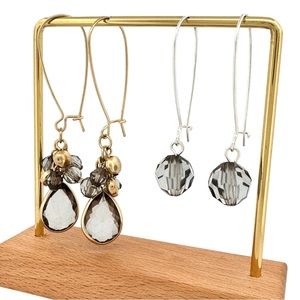 2 Pairs of Kidney Hook Earrings - 1 Silver & 1 Gold Nickel-Free Fashion Earrings